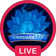 cendana777 Terbaru 2026: Download APK dan Review